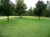 front-yard