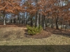 1647 Olivia Way (6)
