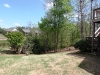 back-yard