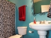basement-bath