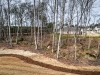 2114 Lamb Lane (1)