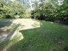 back-yard