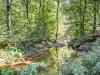 5383 Lee Road 146 (7)