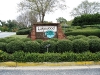 lakewood28